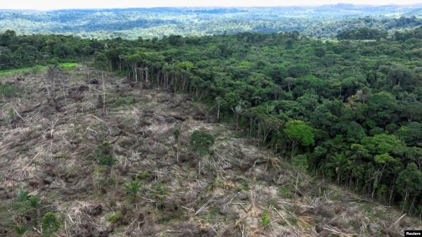 FILE - An aerial view shows a deforested area during an operation to combat deforestation near Uruara, Para State, Brazil January 21, 2023.