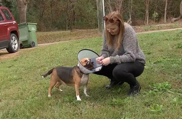 Noel and Copper after his surgery. 