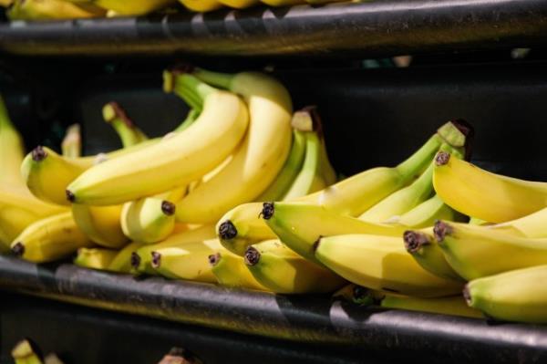 Bananas on a shelf in a supermarket.