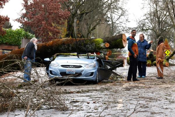 Karen Ducey/The Seattle Times via AP