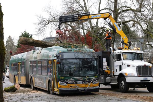 A house hit by a fallen tree after a "bomb cyclone" in Seattle on Nov. 20, 2024.