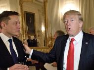 Elon Musk vehemently supported Do<em></em>nald Trump in US Election.